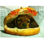 hotdog.jpg
Poet zobrazen: 3587 (6165.1905 dn) pr.=0.5818
Rozmr: 550 x 403 pixel
Velikost: 24.509 kB